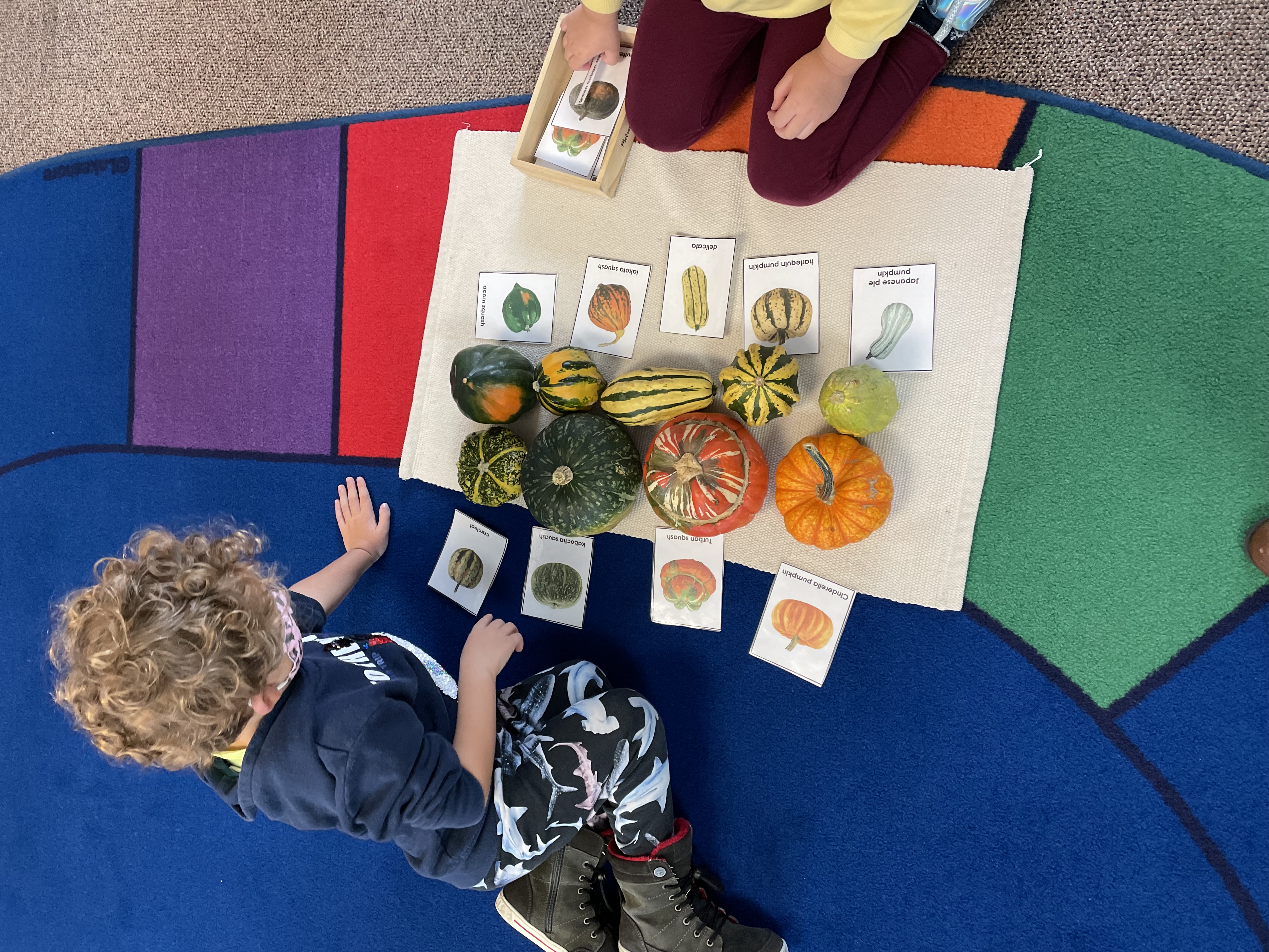 Lotus Montessori