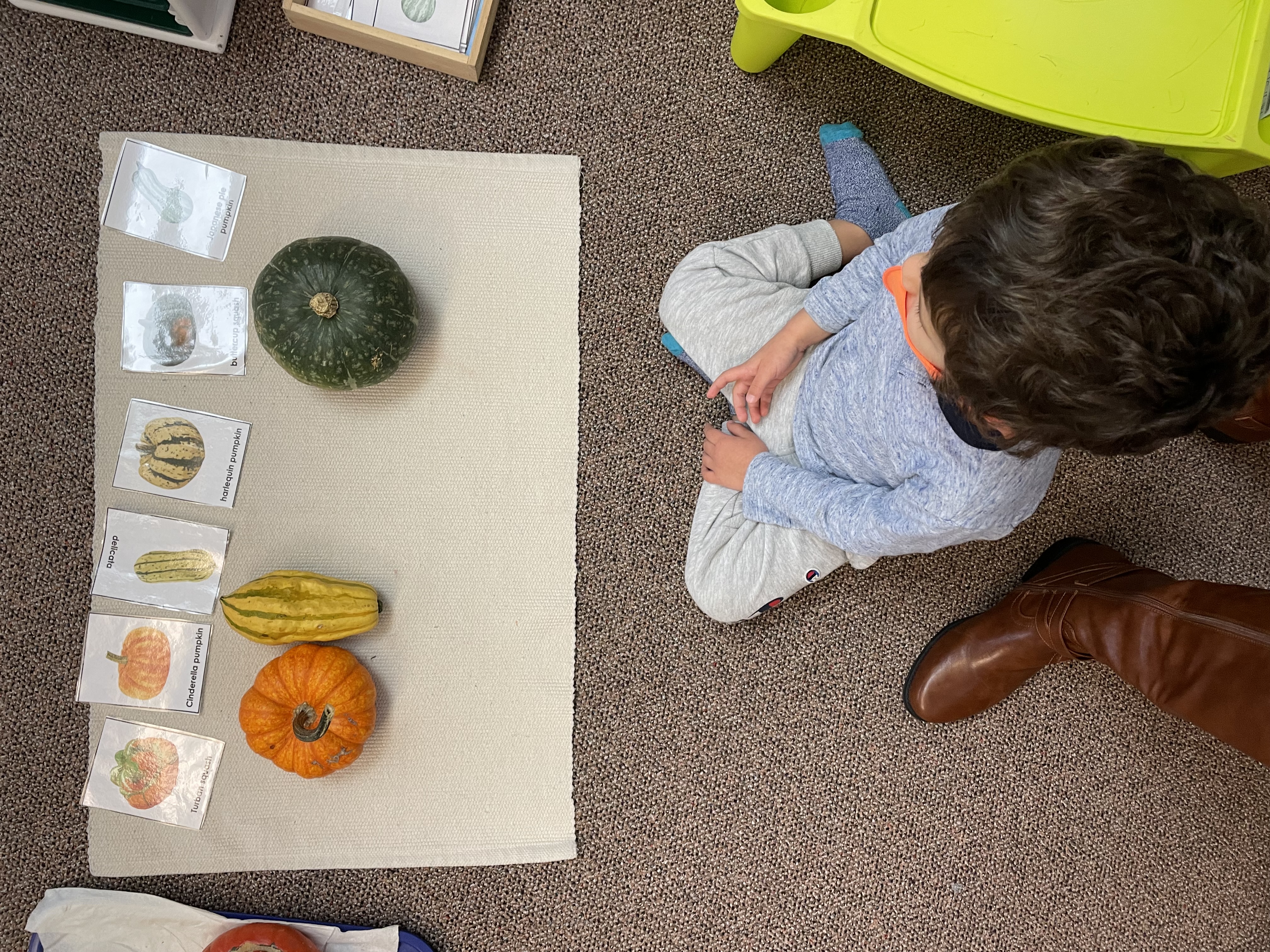 Lotus Montessori