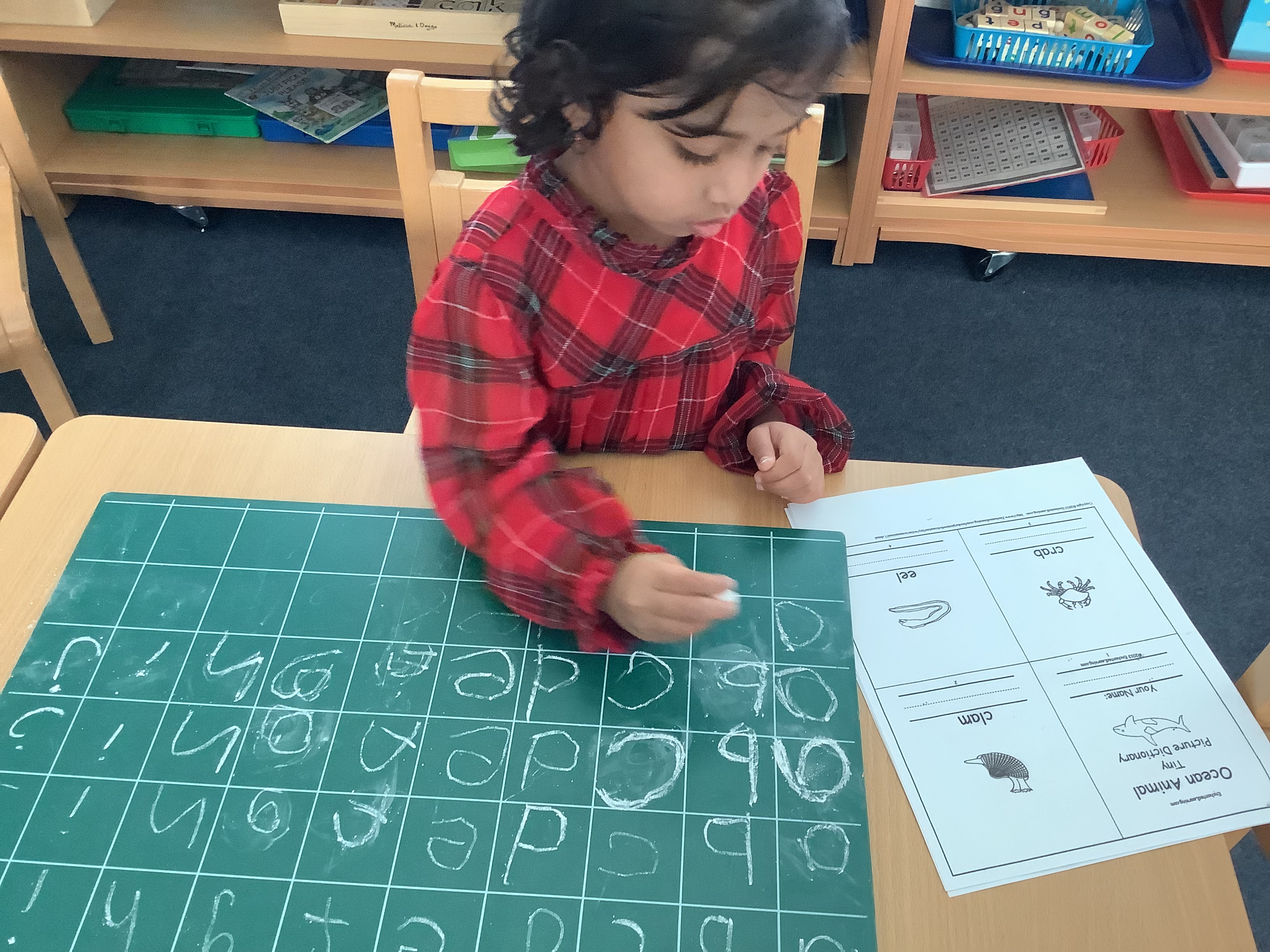 Lotus Montessori classroom